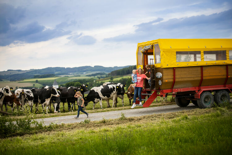 Planwagen Familenferienprogramm